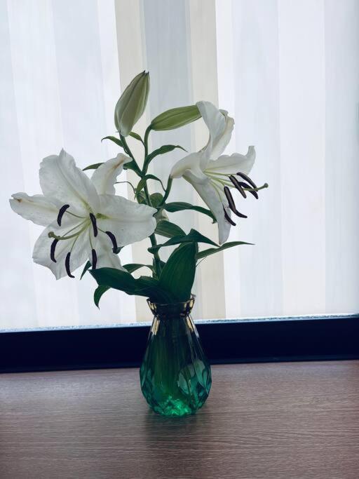 美山小屋-临近东京夏日乐园，高尾山，相模湖游乐园 Hacsiodzsi Kültér fotó